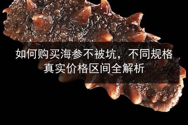 如何购买海参不被坑,不同规格真实价格区间全解析