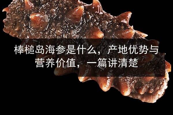 棒槌岛海参是什么,产地优势与营养价值,一篇讲清楚