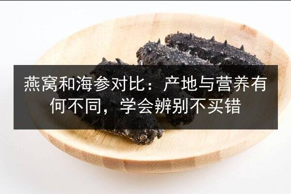 燕窝和海参对比:产地与营养有何不同,学会辨别不买错