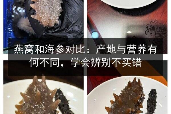 燕窝和海参对比:产地与营养有何不同,学会辨别不买错