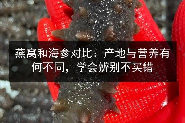 燕窝和海参对比:产地与营养有何不同,学会辨别不买错