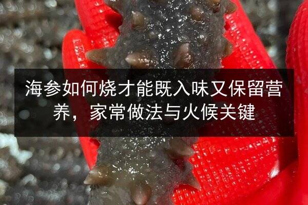 海参如何烧才能既入味又保留营养,家常做法与火候关键