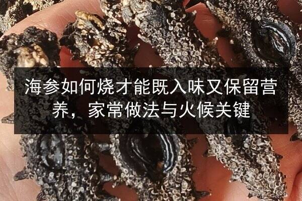 海参如何烧才能既入味又保留营养,家常做法与火候关键