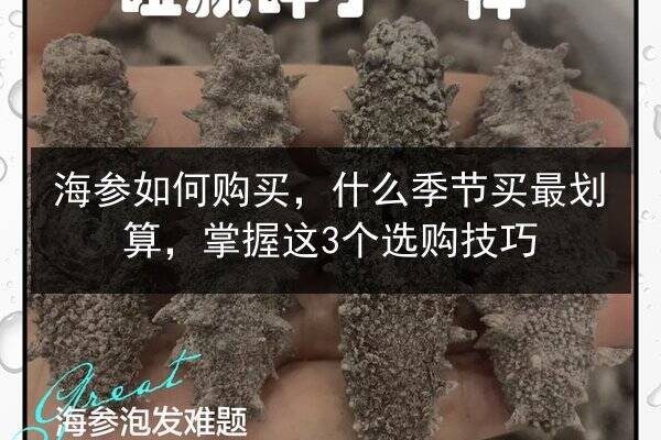 海参如何购买，什么季节买最划算，掌握这3个选购技巧
