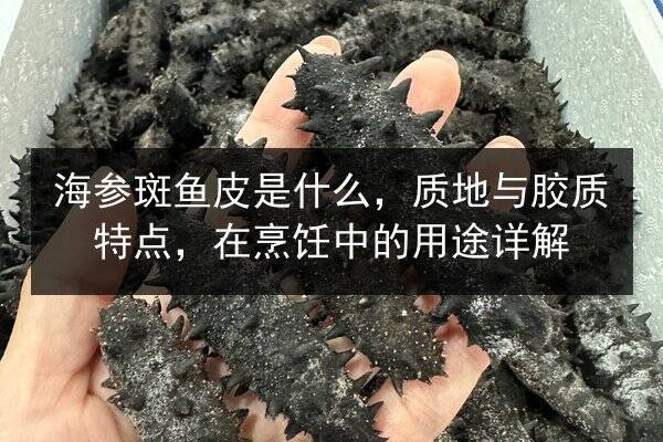 海参斑鱼皮是什么,质地与胶质特点,在烹饪中的用途详解