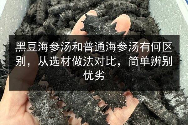 黑豆海参汤和普通海参汤有何区别,从选材做法对比,简单辨别优劣