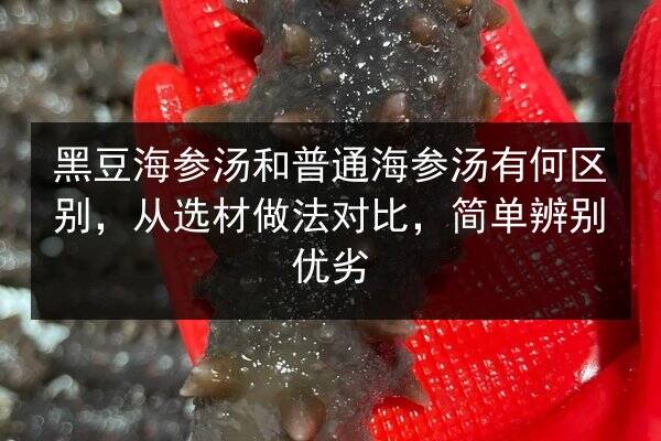 黑豆海参汤和普通海参汤有何区别,从选材做法对比,简单辨别优劣