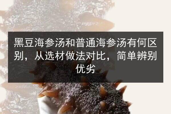 黑豆海参汤和普通海参汤有何区别,从选材做法对比,简单辨别优劣