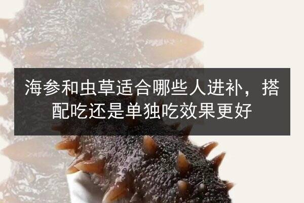 海参和虫草适合哪些人进补,搭配吃还是单独吃效果更好