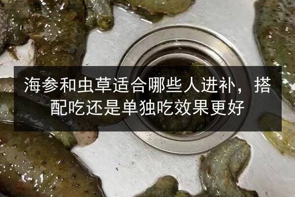 海参和虫草适合哪些人进补,搭配吃还是单独吃效果更好