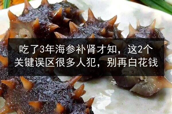 吃了3年海参补肾才知,这2个关键误区很多人犯,别再白花钱
