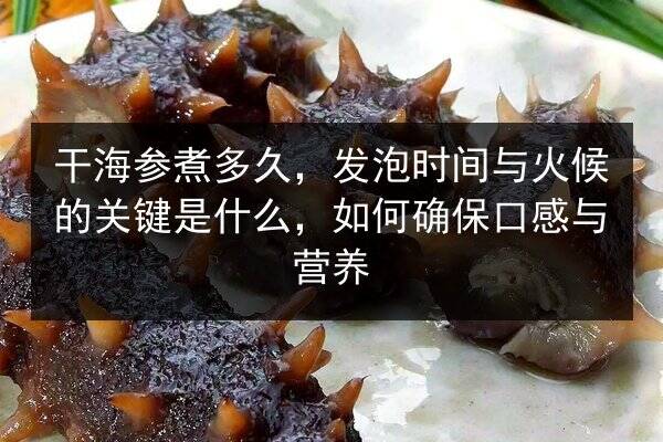干海参煮多久，发泡时间与火候的关键是什么，如何确保口感与营养