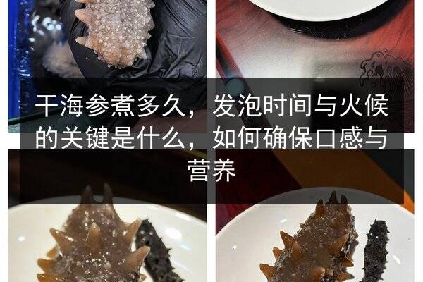干海参煮多久，发泡时间与火候的关键是什么，如何确保口感与营养