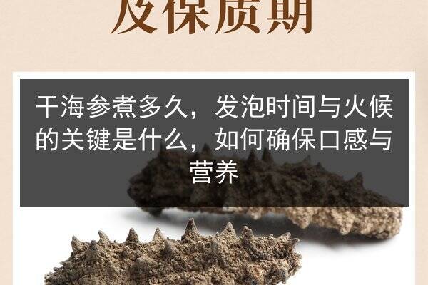 干海参煮多久，发泡时间与火候的关键是什么，如何确保口感与营养
