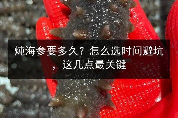 炖海参要多久?怎么选时间避坑,这几点最关键