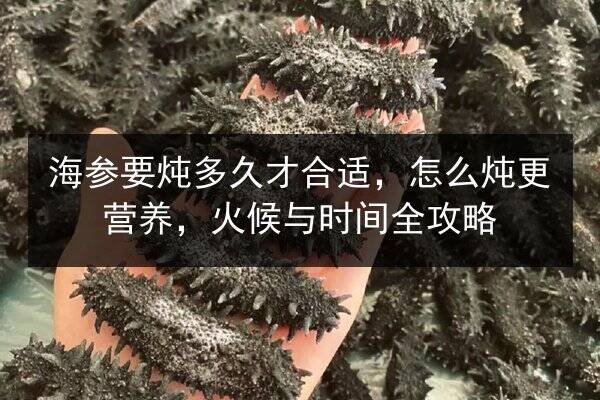 海参要炖多久才合适，怎么炖更营养，火候与时间全攻略
