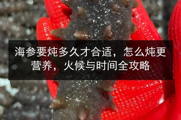 海参要炖多久才合适，怎么炖更营养，火候与时间全攻略