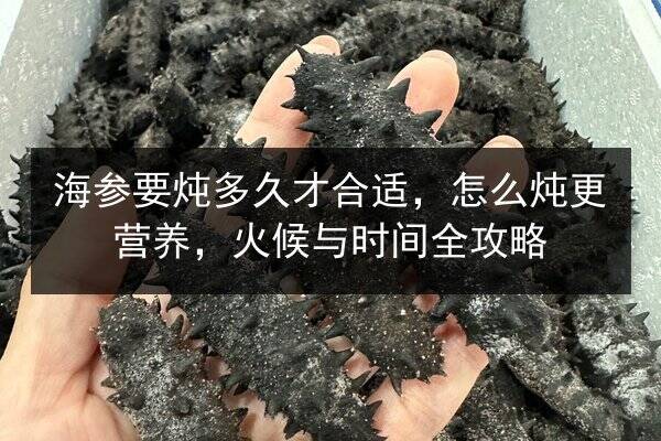 海参要炖多久才合适,怎么炖更营养,火候与时间全攻略