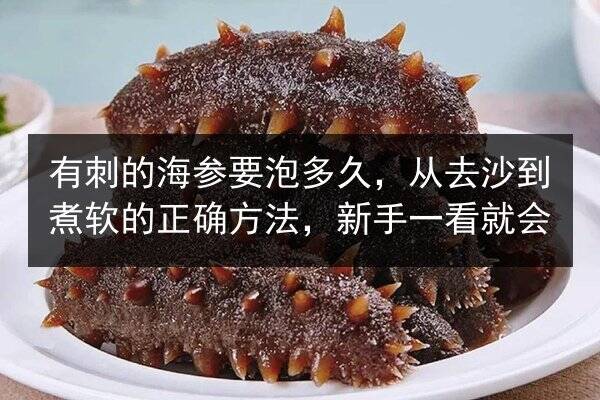 有刺的海参要泡多久,从去沙到煮软的正确方法,新手一看就会