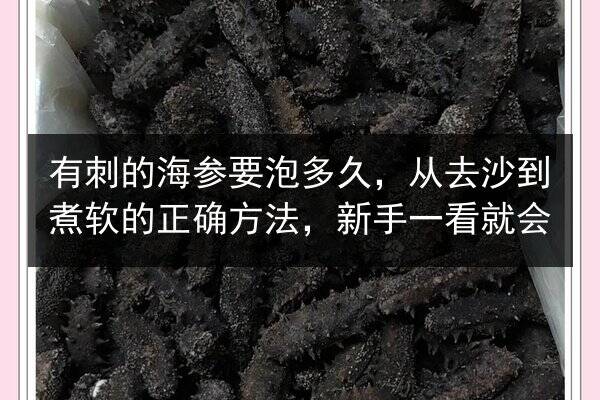 有刺的海参要泡多久,从去沙到煮软的正确方法,新手一看就会