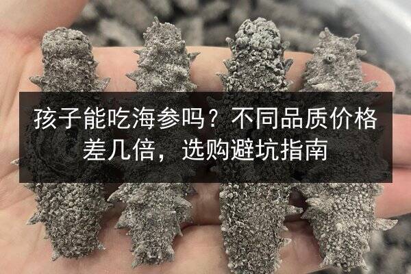 孩子能吃海参吗？不同品质价格差几倍，选购避坑指南