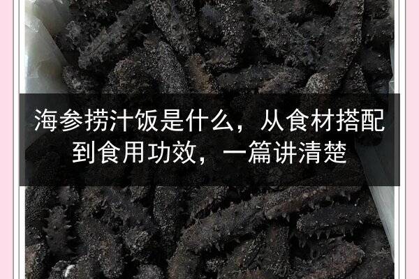 海参捞汁饭是什么,从食材搭配到食用功效,一篇讲清楚