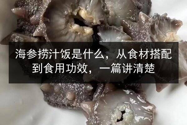 海参捞汁饭是什么,从食材搭配到食用功效,一篇讲清楚