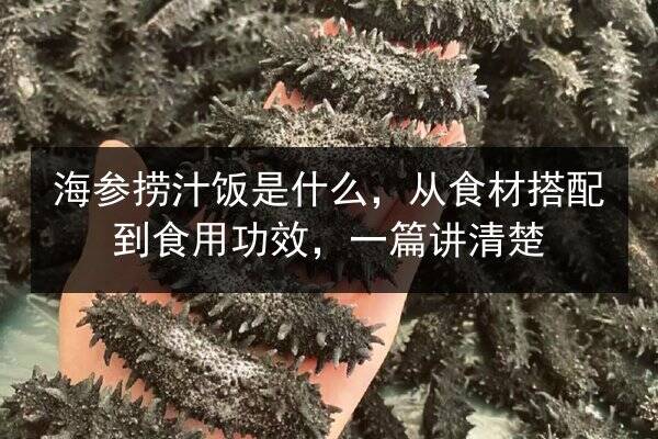 海参捞汁饭是什么,从食材搭配到食用功效,一篇讲清楚