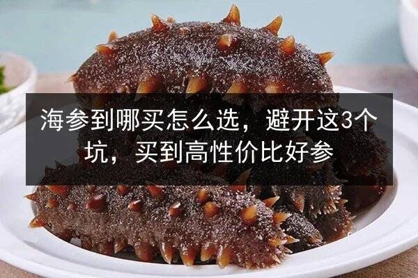 海参到哪买怎么选,避开这3个坑,买到高性价比好参