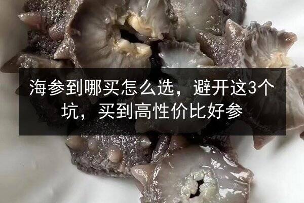 海参到哪买怎么选,避开这3个坑,买到高性价比好参