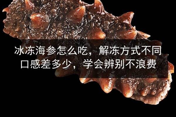 冰冻海参怎么吃,解冻方式不同口感差多少,学会辨别不浪费