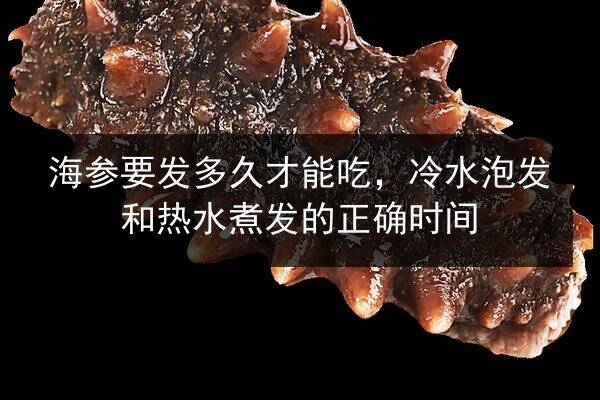 海参要发多久才能吃，冷水泡发和热水煮发的正确时间