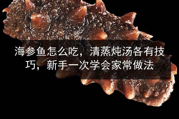海参鱼怎么吃,清蒸炖汤各有技巧,新手一次学会家常做法