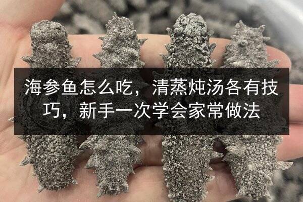 海参鱼怎么吃,清蒸炖汤各有技巧,新手一次学会家常做法
