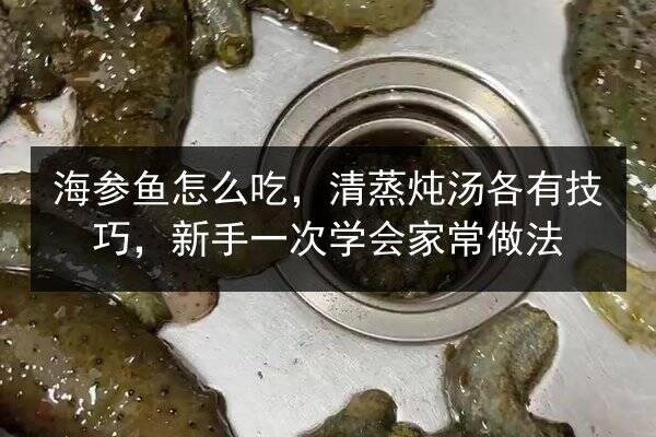 海参鱼怎么吃,清蒸炖汤各有技巧,新手一次学会家常做法
