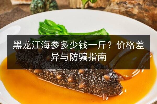 黑龙江海参多少钱一斤？价格差异与防骗指南