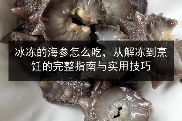 冰冻的海参怎么吃,从解冻到烹饪的完整指南与实用技巧
