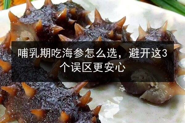 哺乳期吃海参怎么选,避开这3个误区更安心