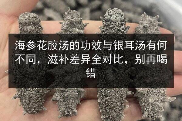 海参花胶汤的功效与银耳汤有何不同,滋补差异全对比,别再喝错