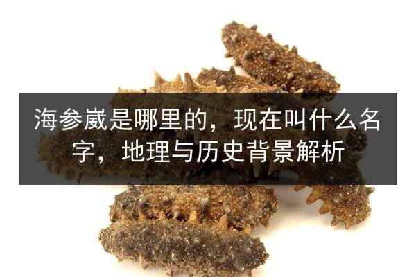 海参崴是哪里的,现在叫什么名字,地理与历史背景解析