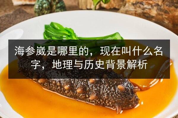 海参崴是哪里的,现在叫什么名字,地理与历史背景解析