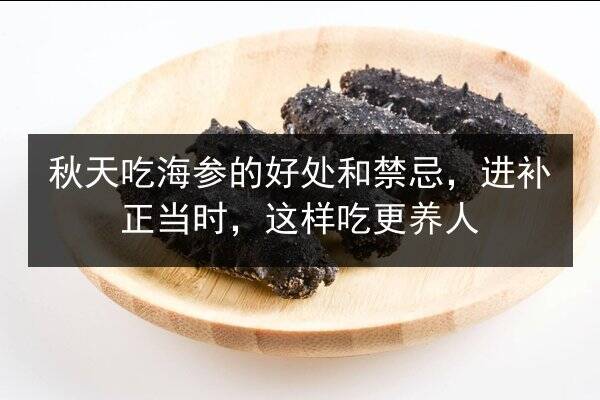 秋天吃海参的好处和禁忌,进补正当时,这样吃更养人