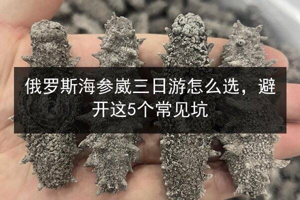 俄罗斯海参崴三日游怎么选，避开这5个常见坑