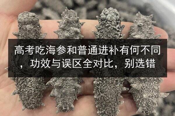 高考吃海参和普通进补有何不同,功效与误区全对比,别选错