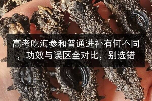 高考吃海参和普通进补有何不同,功效与误区全对比,别选错