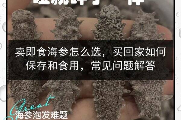 卖即食海参怎么选，买回家如何保存和食用，常见问题解答