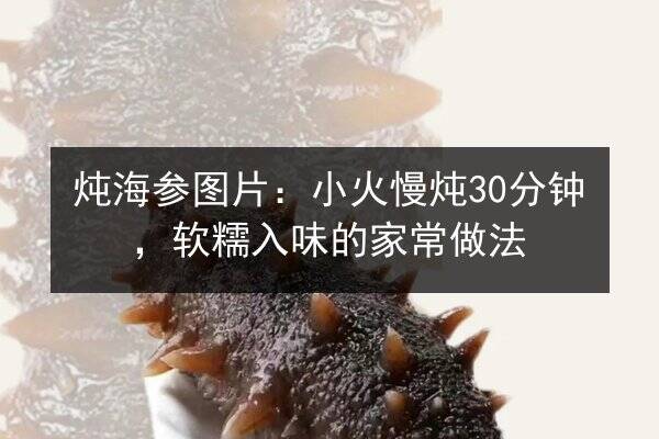 炖海参图片:小火慢炖30分钟,软糯入味的家常做法