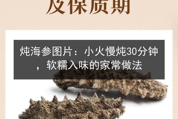 炖海参图片:小火慢炖30分钟,软糯入味的家常做法
