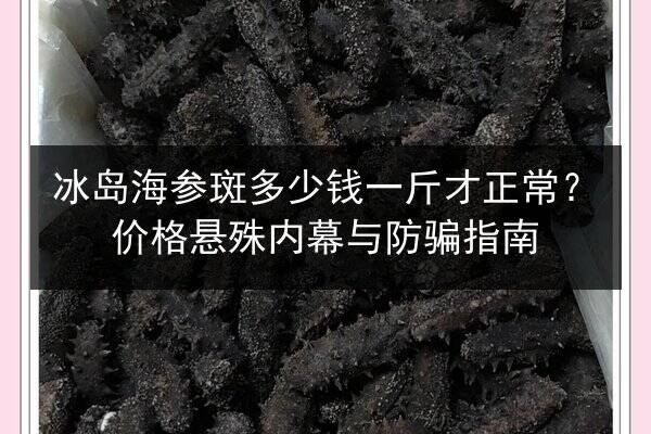 冰岛海参斑多少钱一斤才正常？价格悬殊内幕与防骗指南