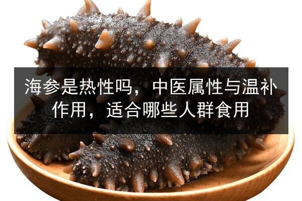海参是热性吗，中医属性与温补作用，适合哪些人群食用